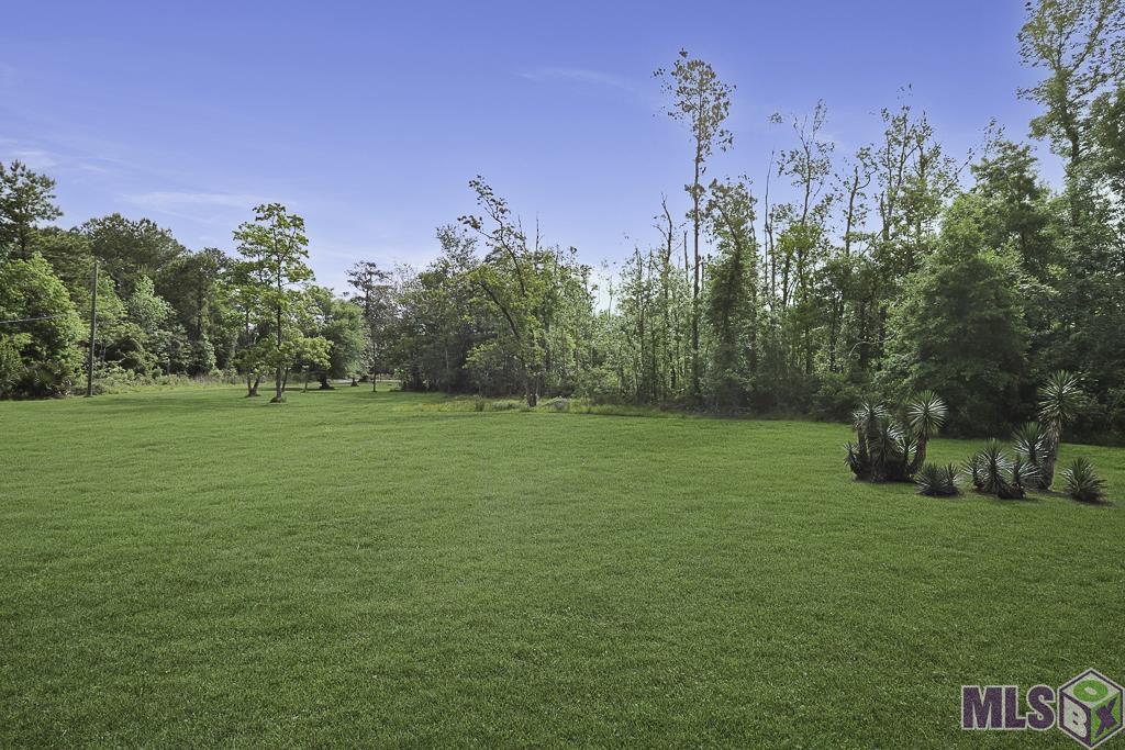 14929 Bear Island Road Maurepas, LA 70449 - Photo 22 of 31