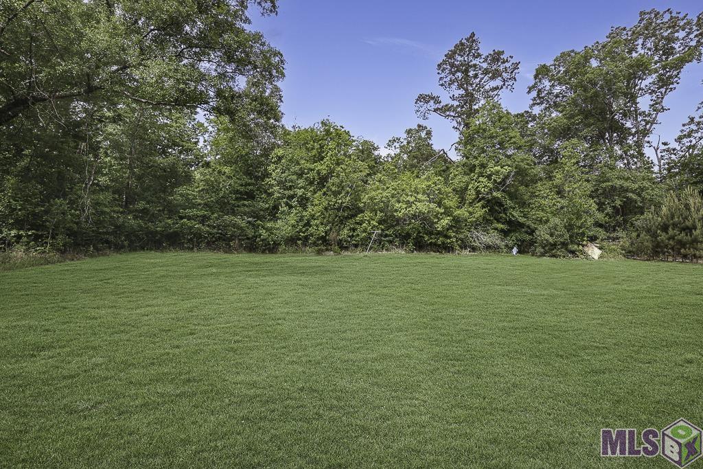 14929 Bear Island Road Maurepas, LA 70449 - Photo 23 of 31