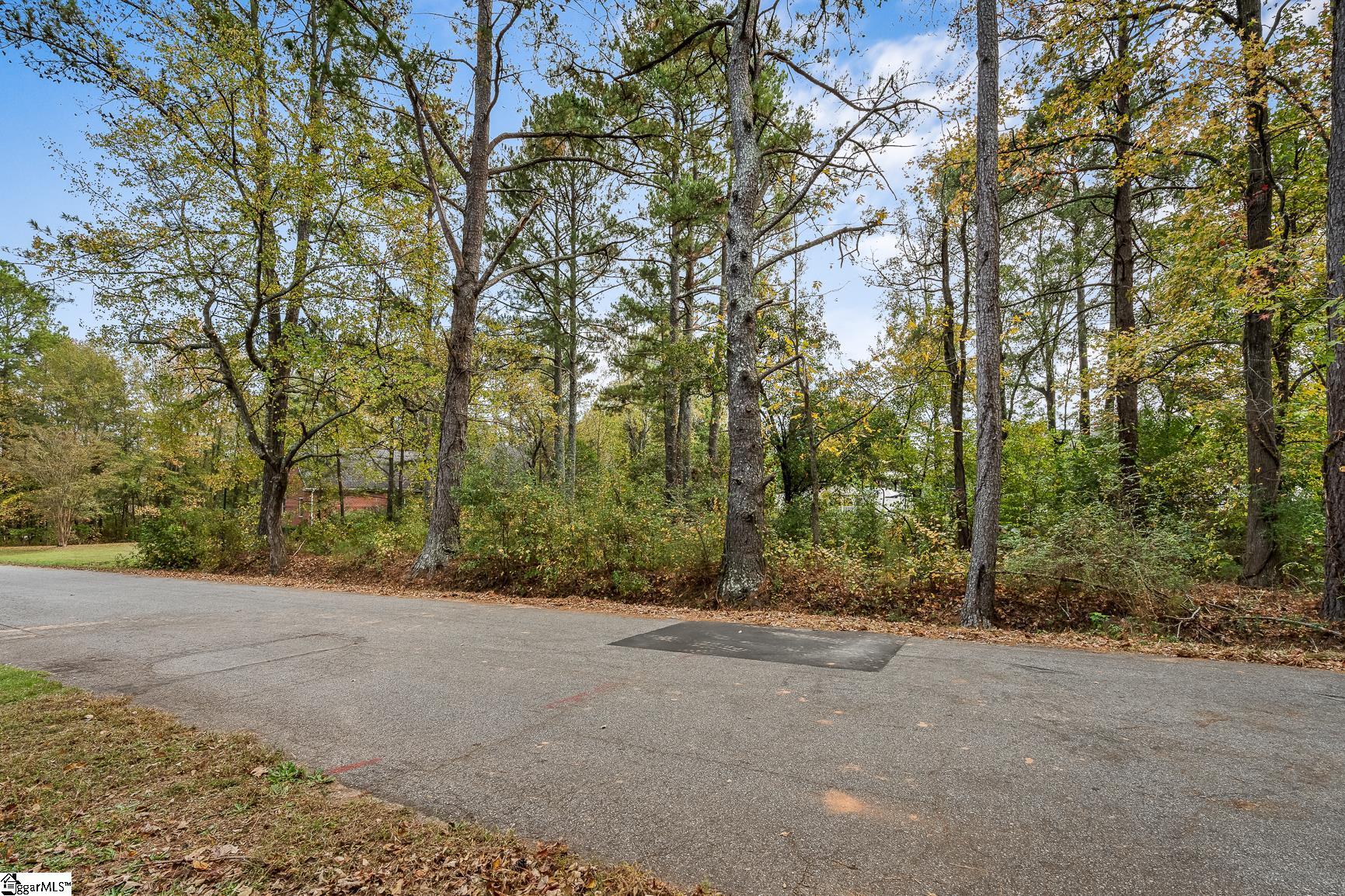 0 Warriors Path Anderson, SC 29621 - Photo 3 of 15