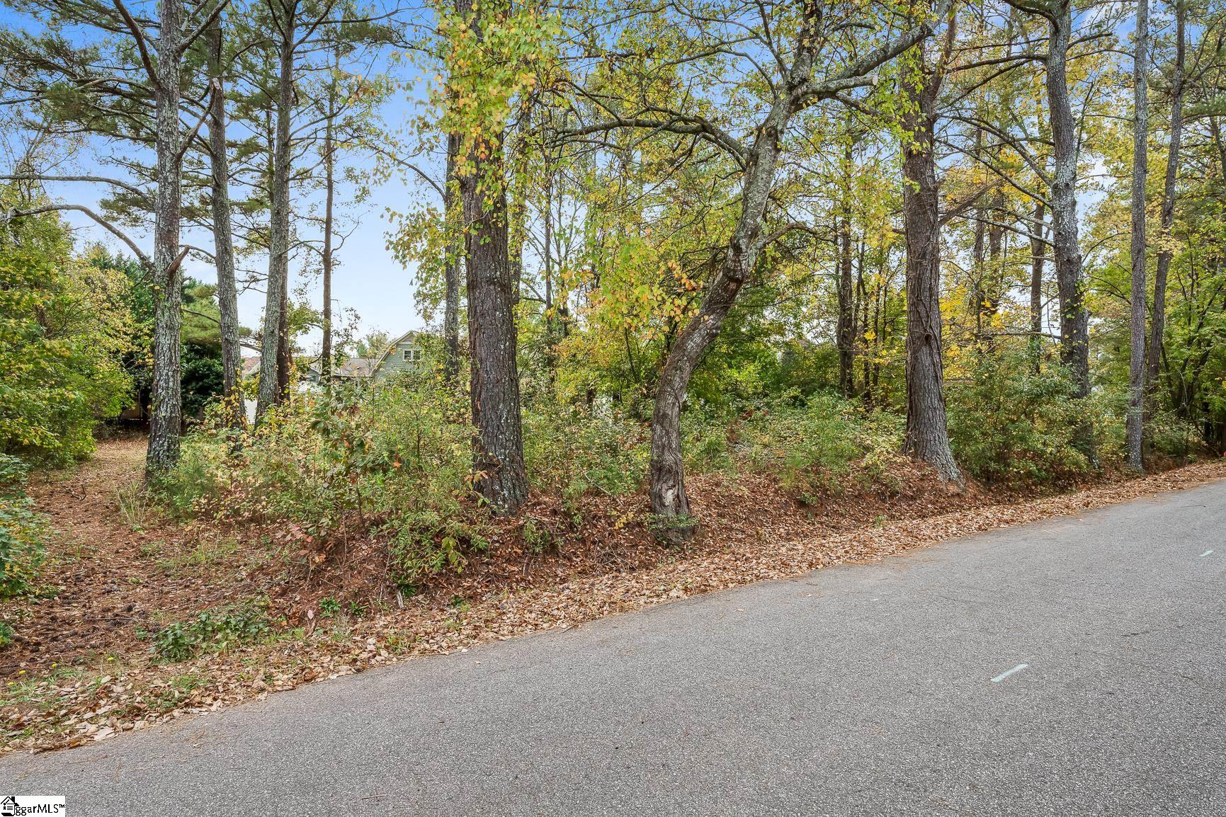 0 Warriors Path Anderson, SC 29621 - Photo 5 of 15
