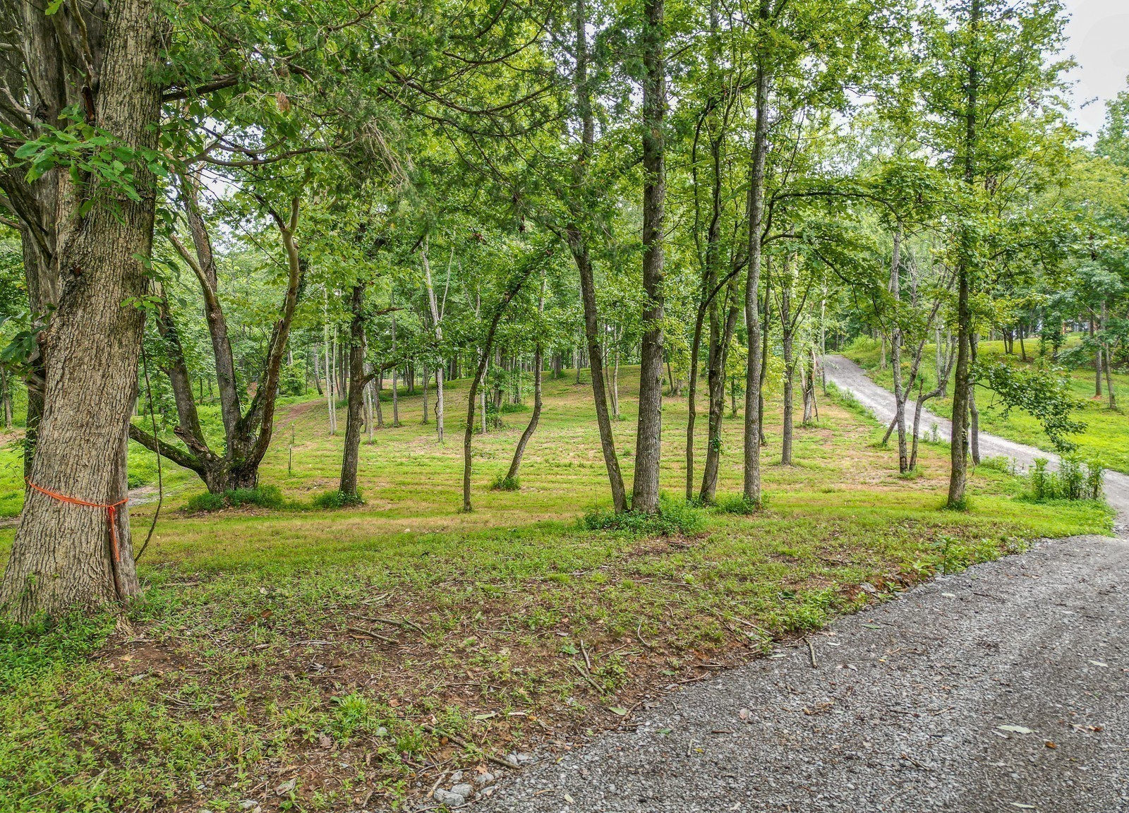 0 Flippen Road Lebanon, TN 37087 - Photo 17 of 37 Gallery Image 17