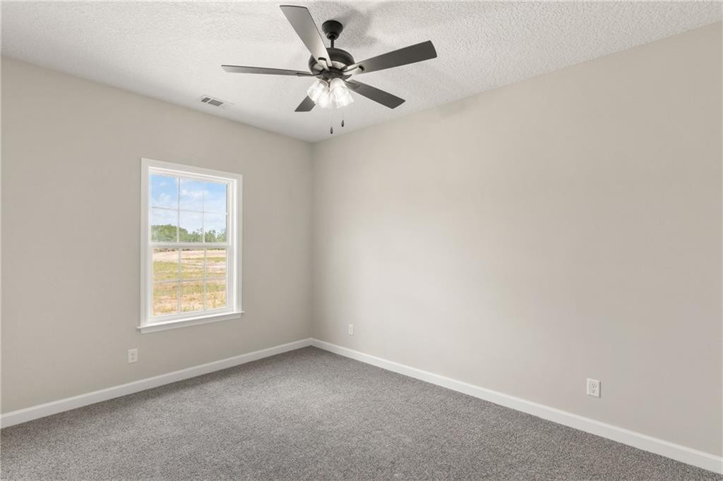 4432 Pembers Road Nahunta, GA 31553 - Photo 21 of 30