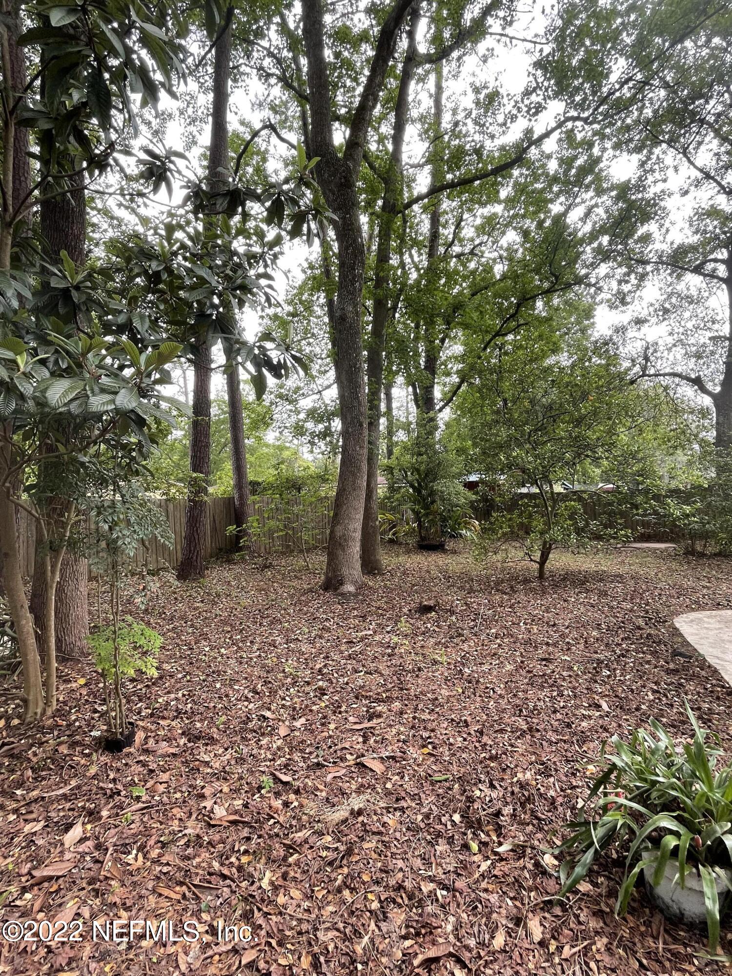 5238 Damascus Road North Jacksonville, FL 32207 - Photo 25 of 26 Backyard