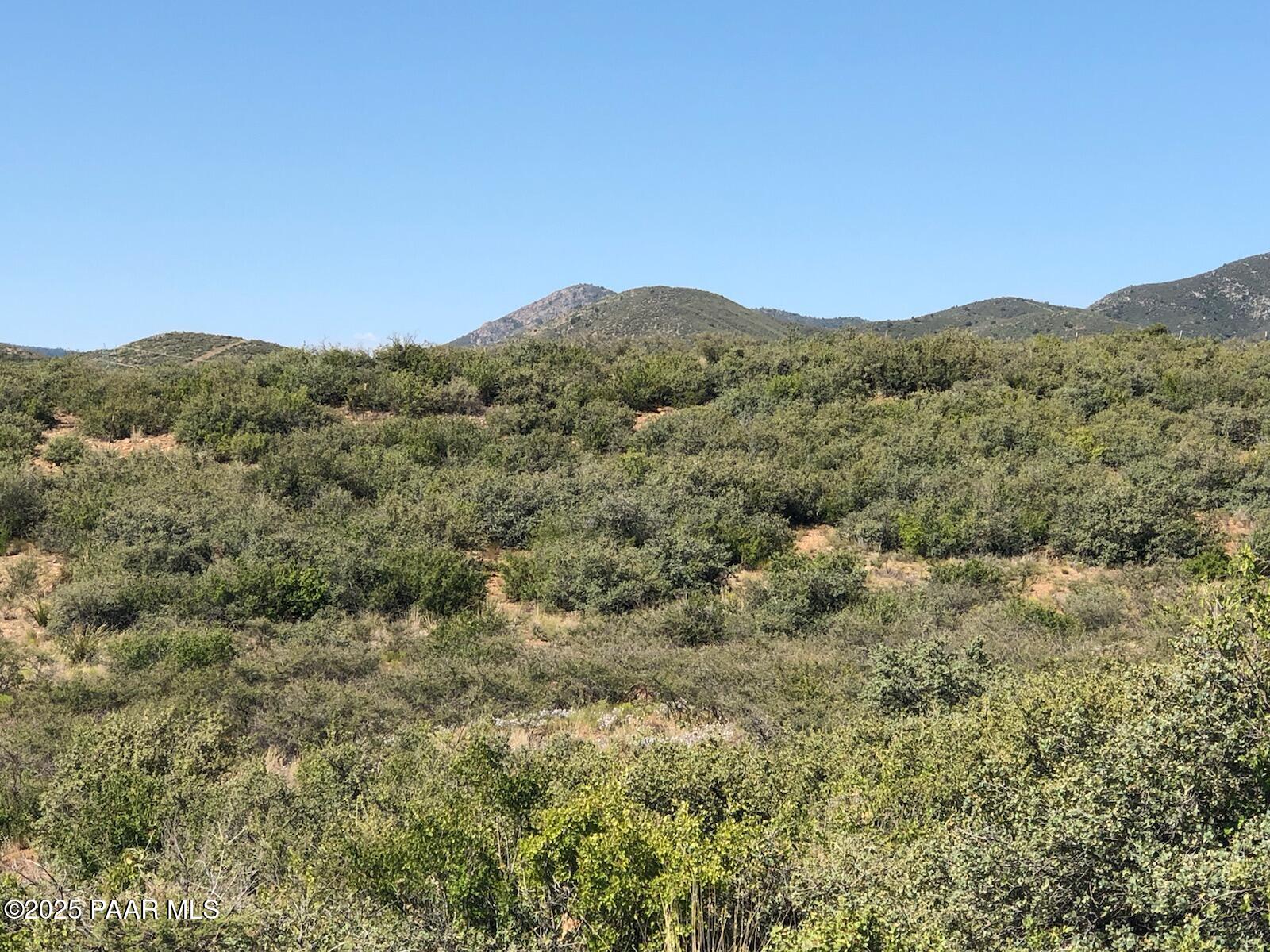 10424 East Prescott Dells Road Dewey-Humboldt, AZ 86327 - Photo 5 of 6 a view of a mountain range with lush green forest