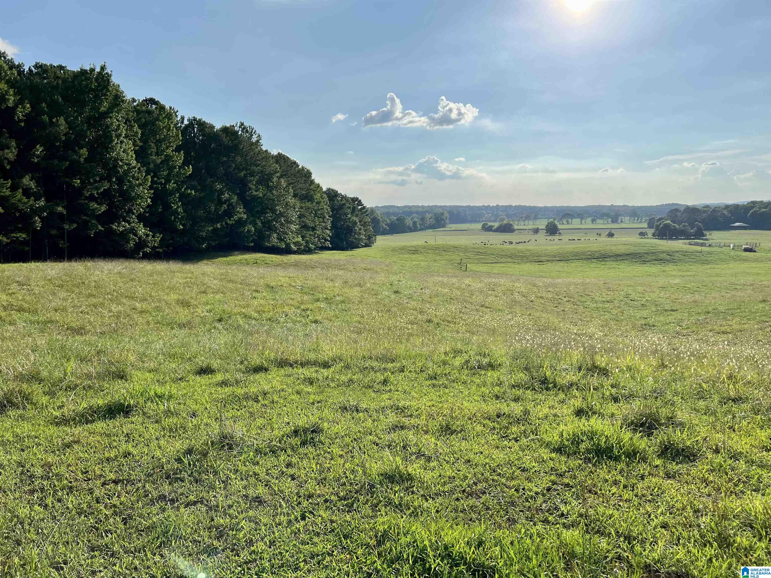 1515 Kelly Ranch Road, Unit 138 ACRES / Talladega, AL 35160 - Photo 1 of 42