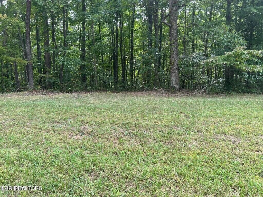 0 Falls Road Monterey, TN 38574 - Photo 3 of 5 Gallery Image 3