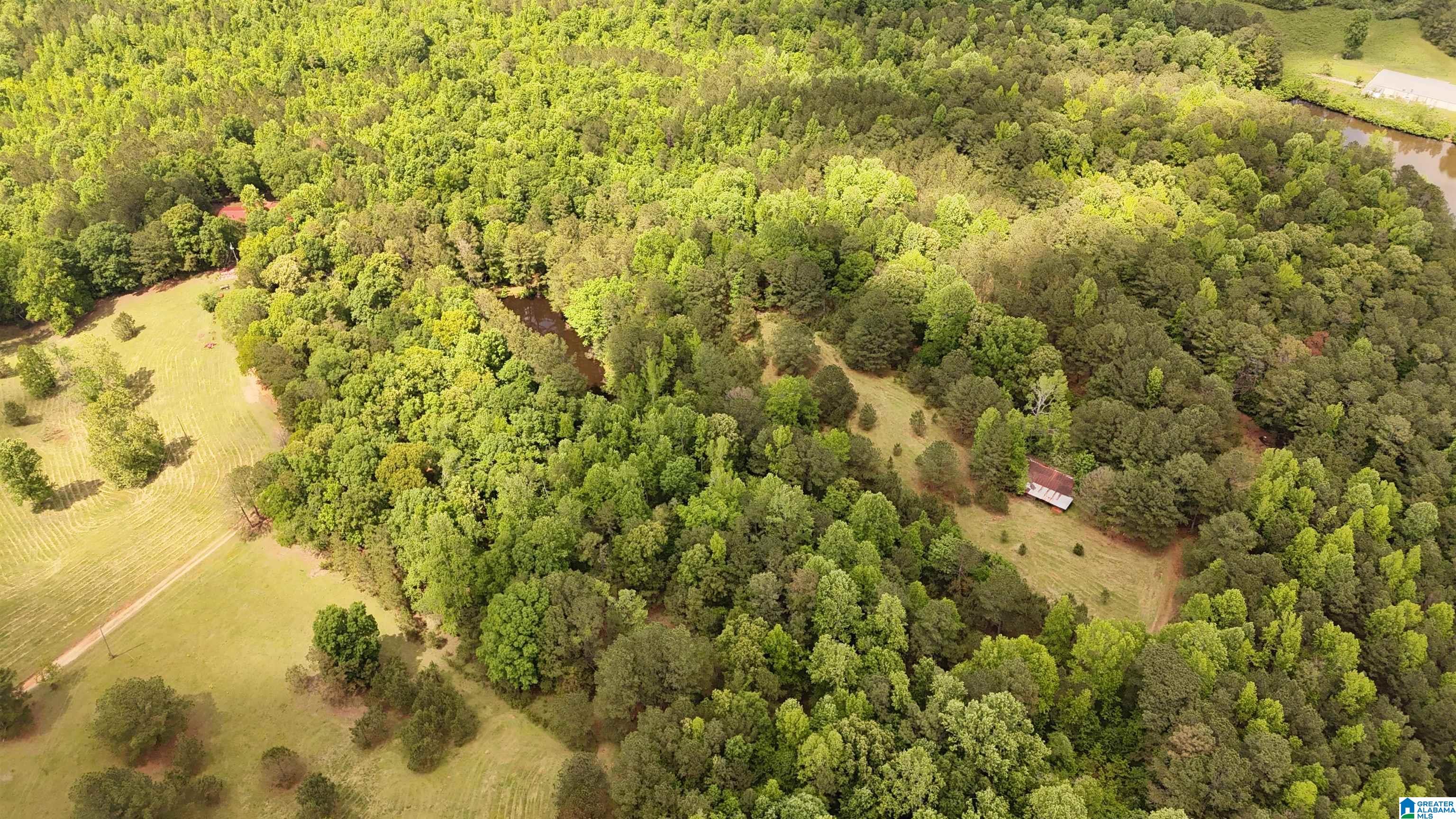 2488 Louina Road Roanoke, AL 36274 - Photo 93 of 97