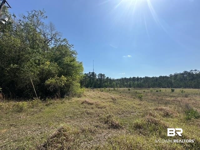 0 I-65 Service Road Satsuma, AL 36572 - Photo 6 of 27 View of landscape with a view of trees