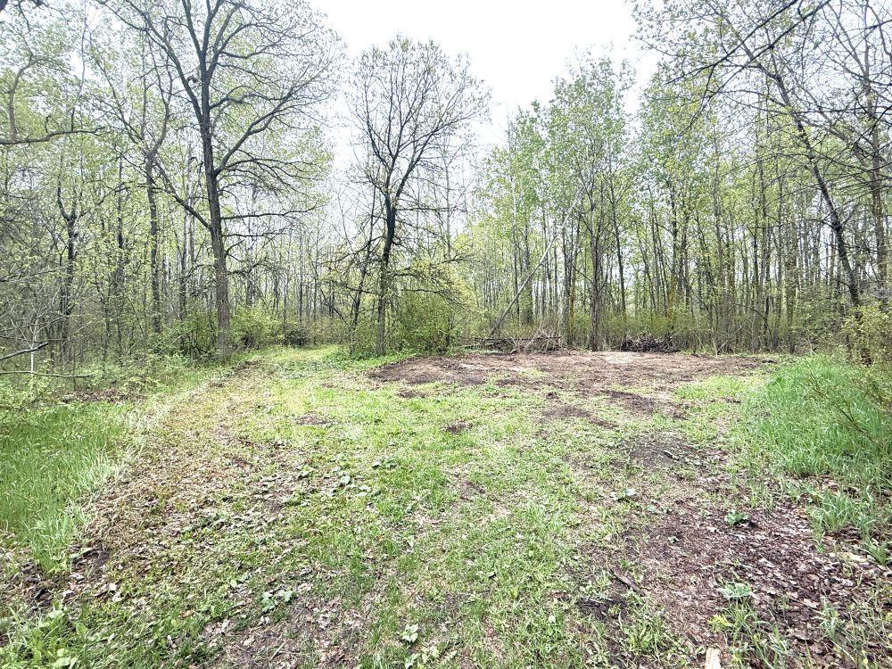 36 Co Highway 36 Frazee, MN 56544 - Photo 40 of 61