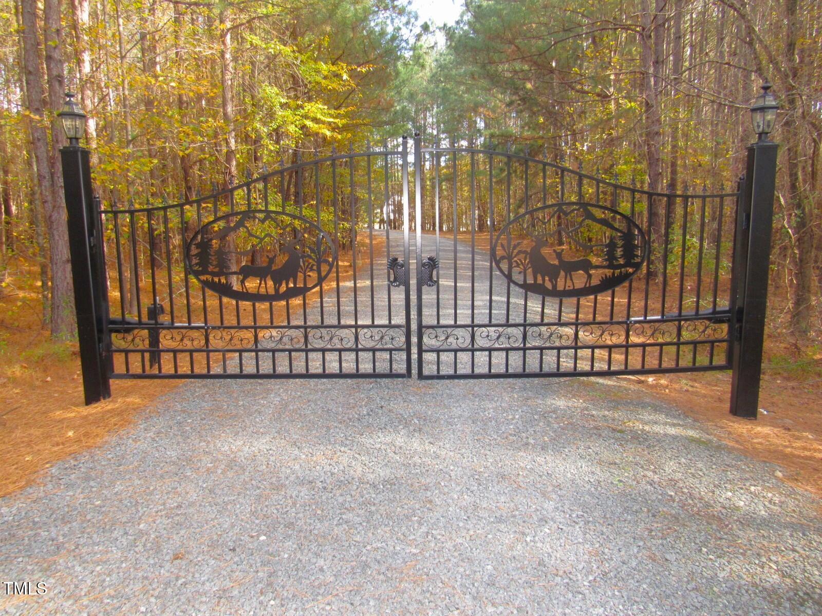 3214 Tump Wilkins Road Stem, NC 27581 - Photo 5 of 90 Gate