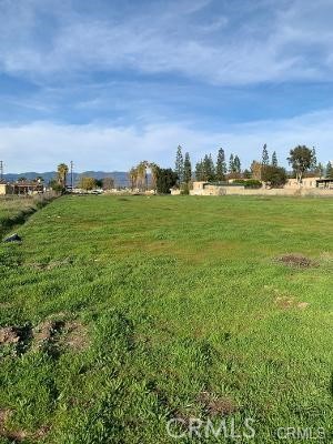405 West Merrill Avenue Rialto, CA 92376 - Photo 11 of 20 a view of a green field with lots of bushes