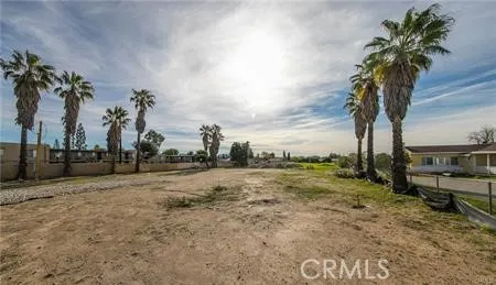 a view of a dirt field with palm trees
