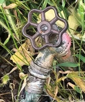 a view of a green field with lots of bushes