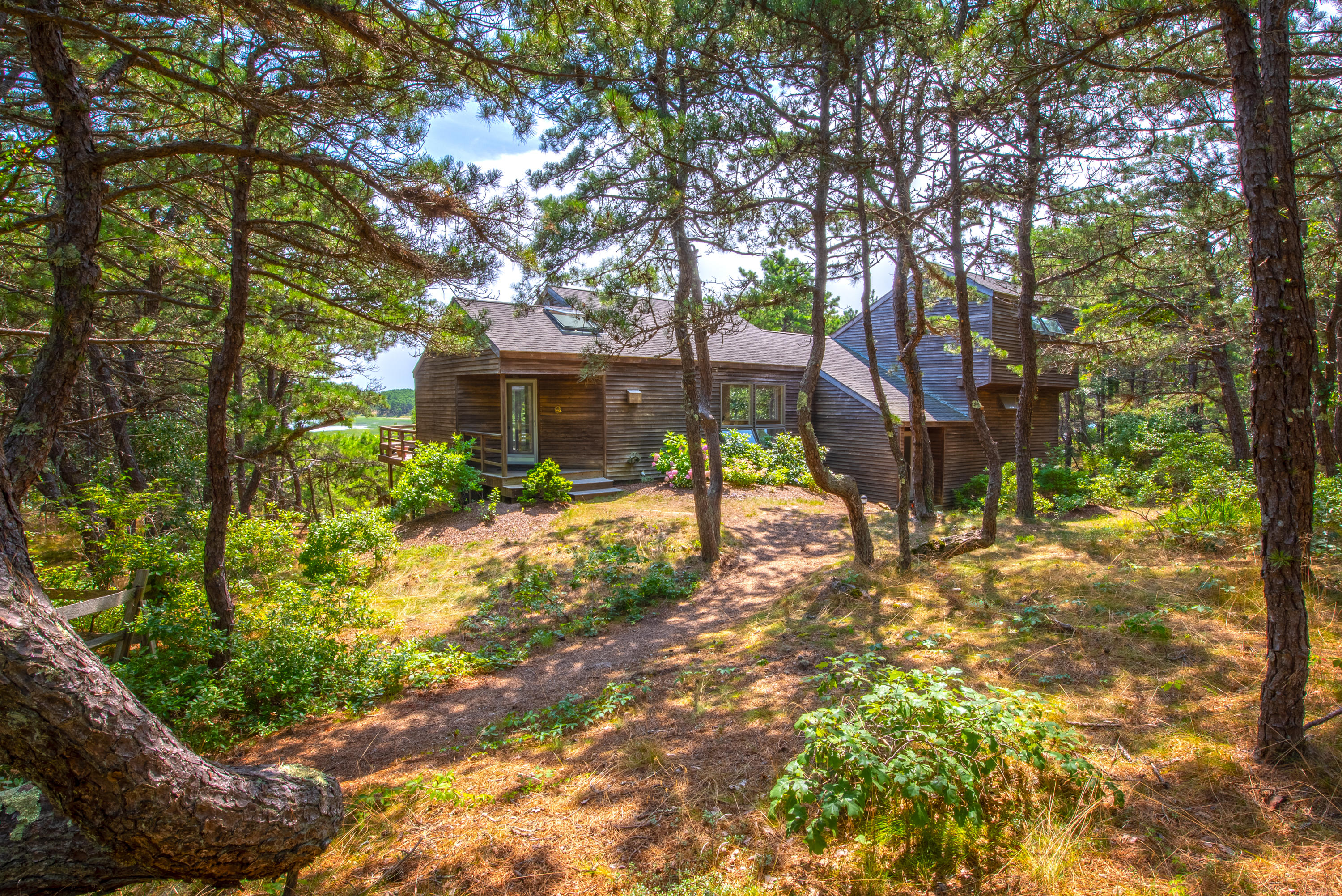245 King Phillip Road Wellfleet, MA 02667 - Photo 4 of 33 a view of a yard with plants and large trees