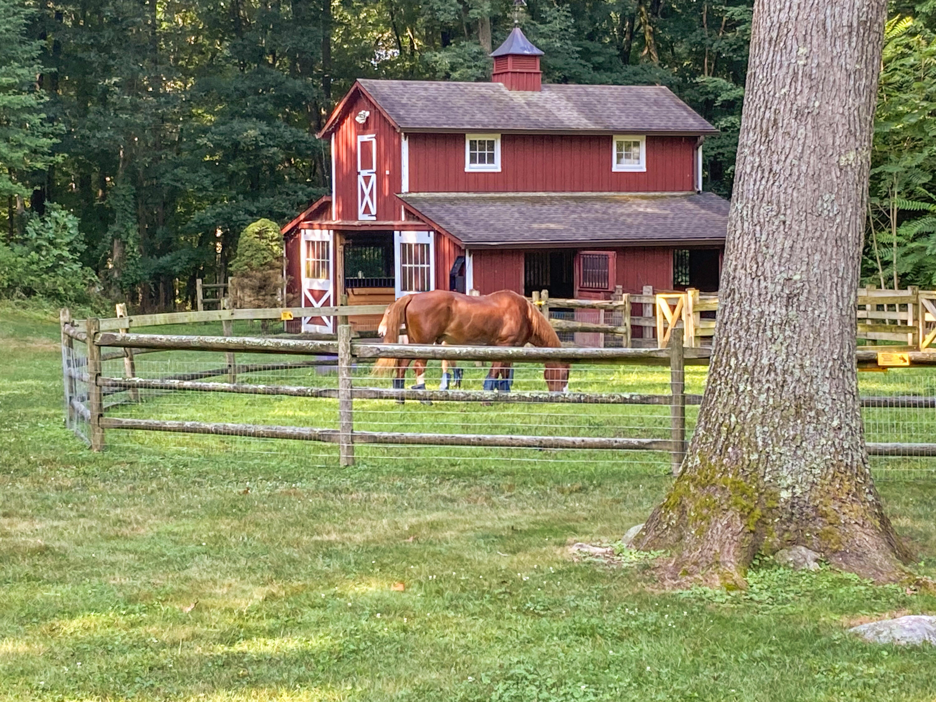 30 Carrington Drive Greenwich, CT 06831 - Photo 5 of 46 a front view of a house with a garden