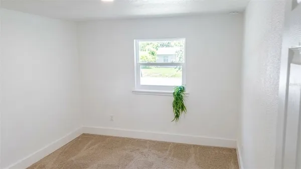an empty room with window and a potted plant