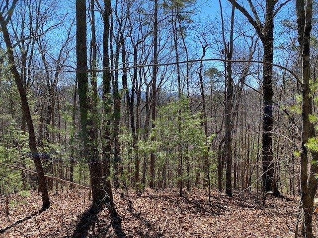 0 Little Bushy Head Road, Unit LT260 Blue Ridge, GA 30513 - Photo 1 of 1 a backyard of a house with lots of green space