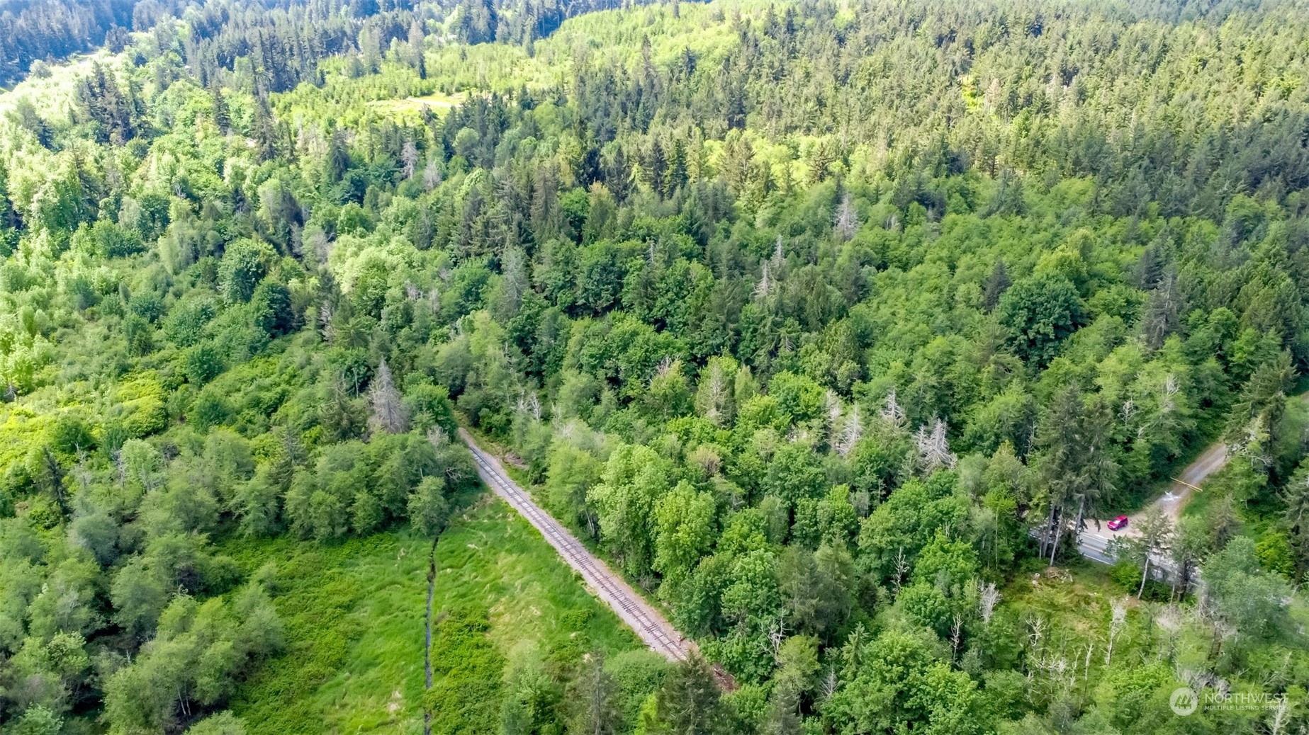 15345 Case Road Southwest Rochester, WA 98579 - Photo 14 of 40 a view of a lush green forest with a tree