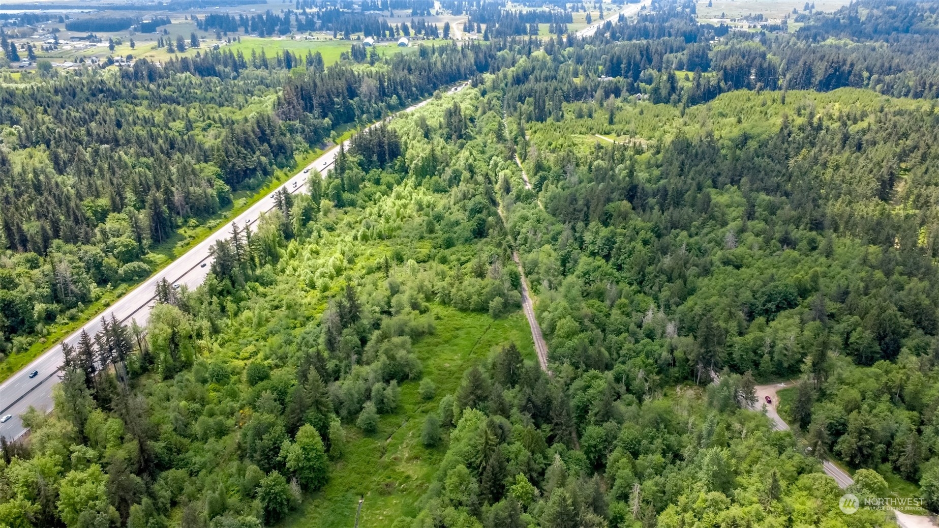 15345 Case Road Southwest Rochester, WA 98579 - Photo 17 of 40 a view of a green yard with large trees and plants