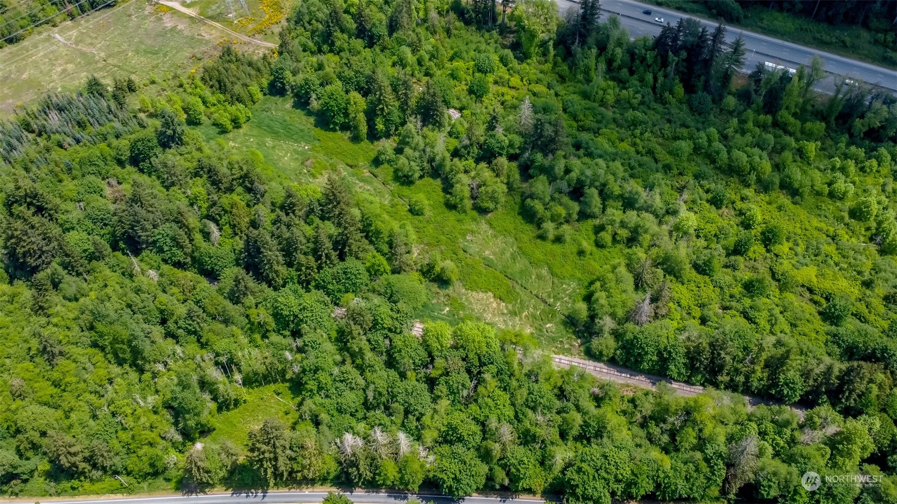 15345 Case Road Southwest Rochester, WA 98579 - Photo 18 of 40 a view of a lush green forest