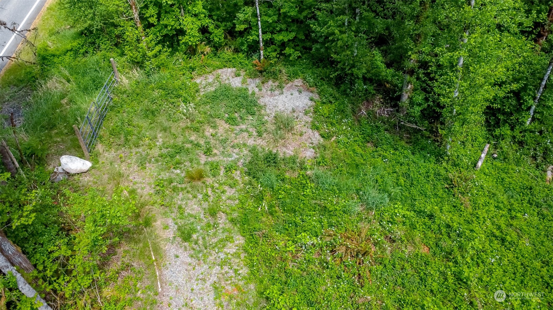 15345 Case Road Southwest Rochester, WA 98579 - Photo 19 of 40 a view of a lush green forest