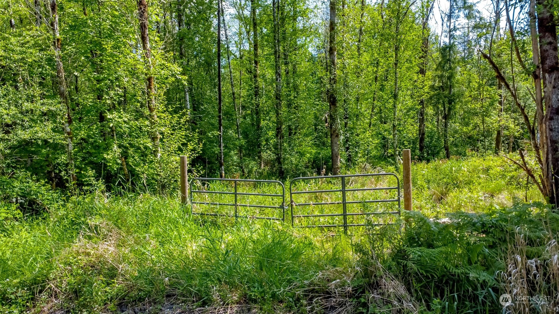 15345 Case Road Southwest Rochester, WA 98579 - Photo 2 of 40 a view of a field with plants in front of it