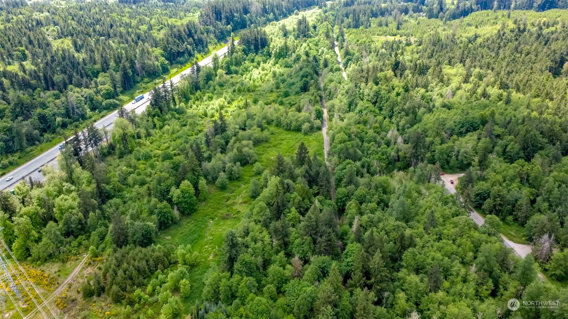 15345 Case Road Southwest Rochester, WA 98579 - Photo 21 of 40 a view of a lush green forest with large trees