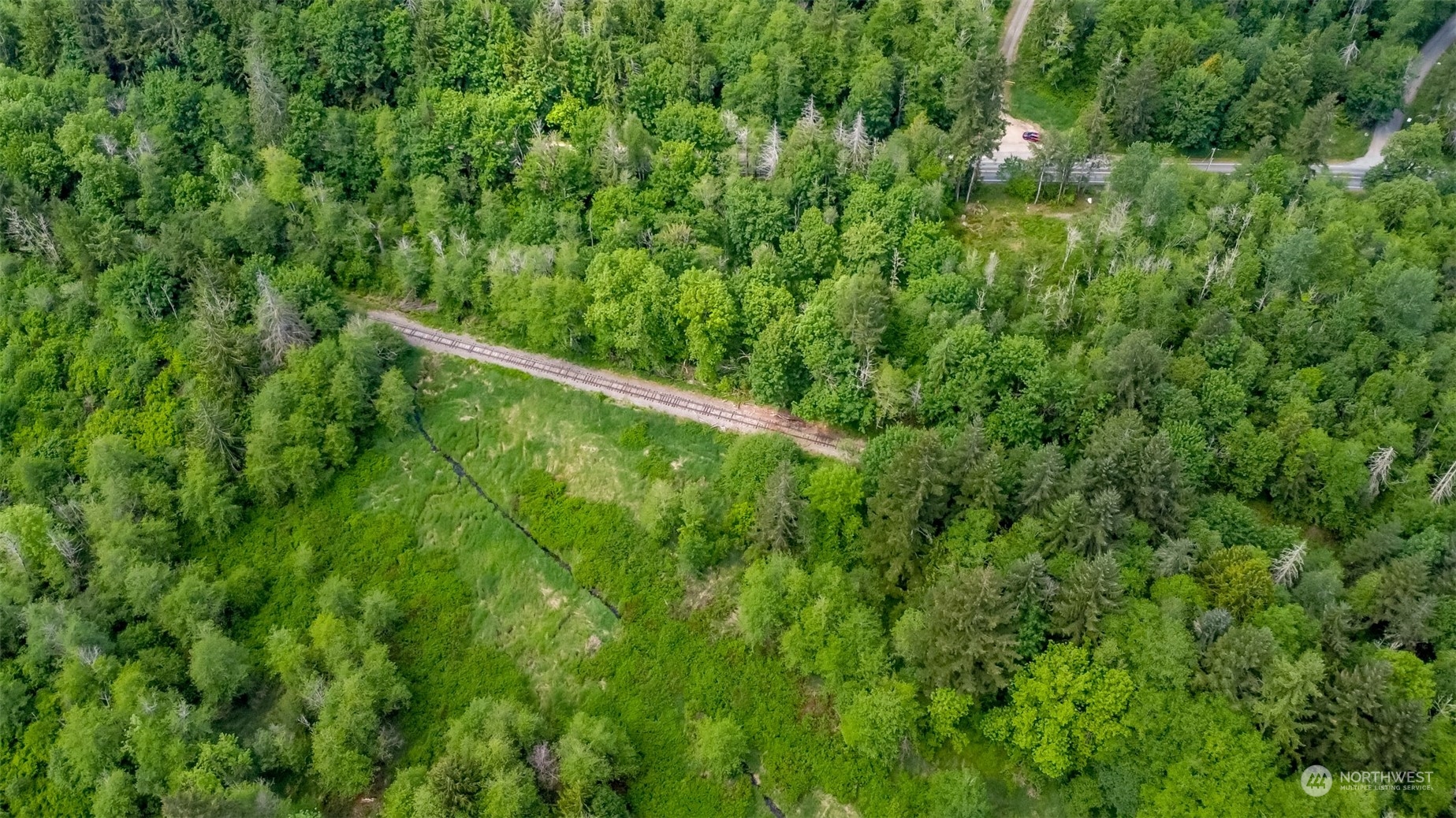 15345 Case Road Southwest Rochester, WA 98579 - Photo 23 of 40 a view of a lush green forest with lots of trees