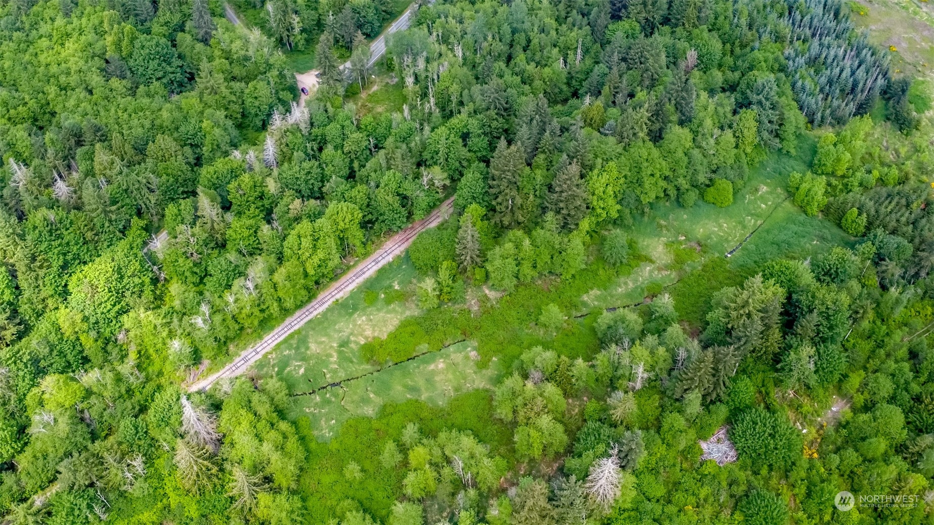 15345 Case Road Southwest Rochester, WA 98579 - Photo 27 of 40 a view of a lush green forest with lots of trees
