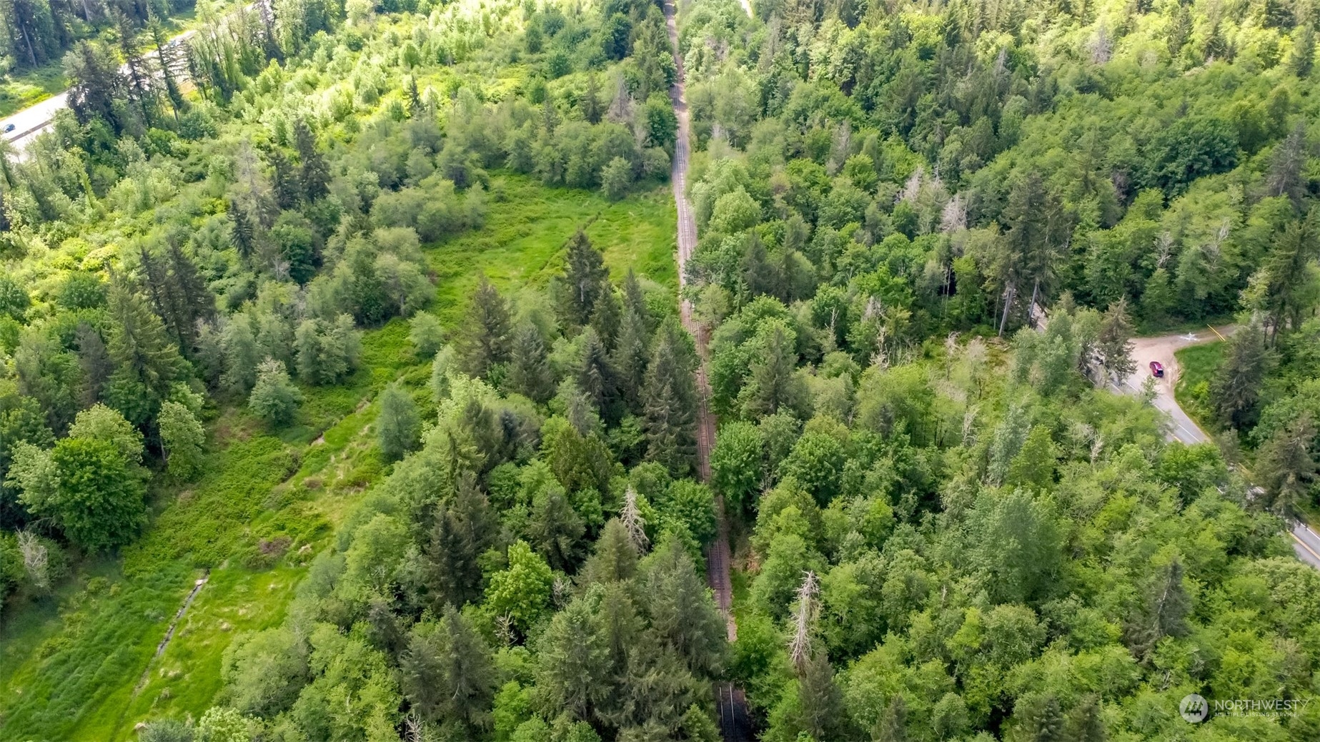 15345 Case Road Southwest Rochester, WA 98579 - Photo 30 of 40 a view of a lush green forest