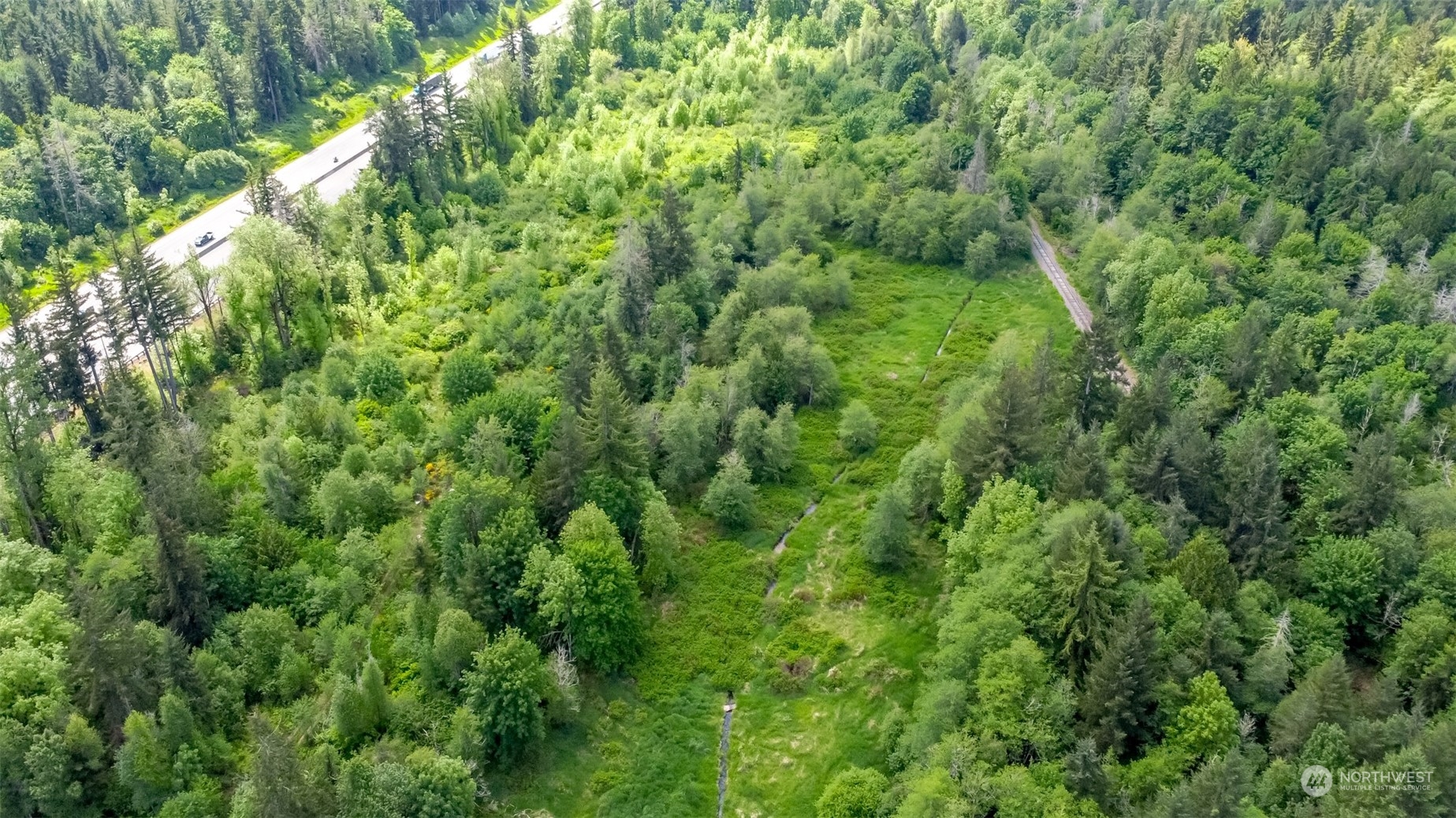 15345 Case Road Southwest Rochester, WA 98579 - Photo 31 of 40 a view of a lush green forest