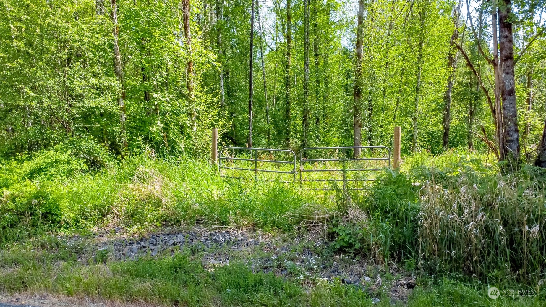 15345 Case Road Southwest Rochester, WA 98579 - Photo 35 of 40 a view of swimming pool with a yard