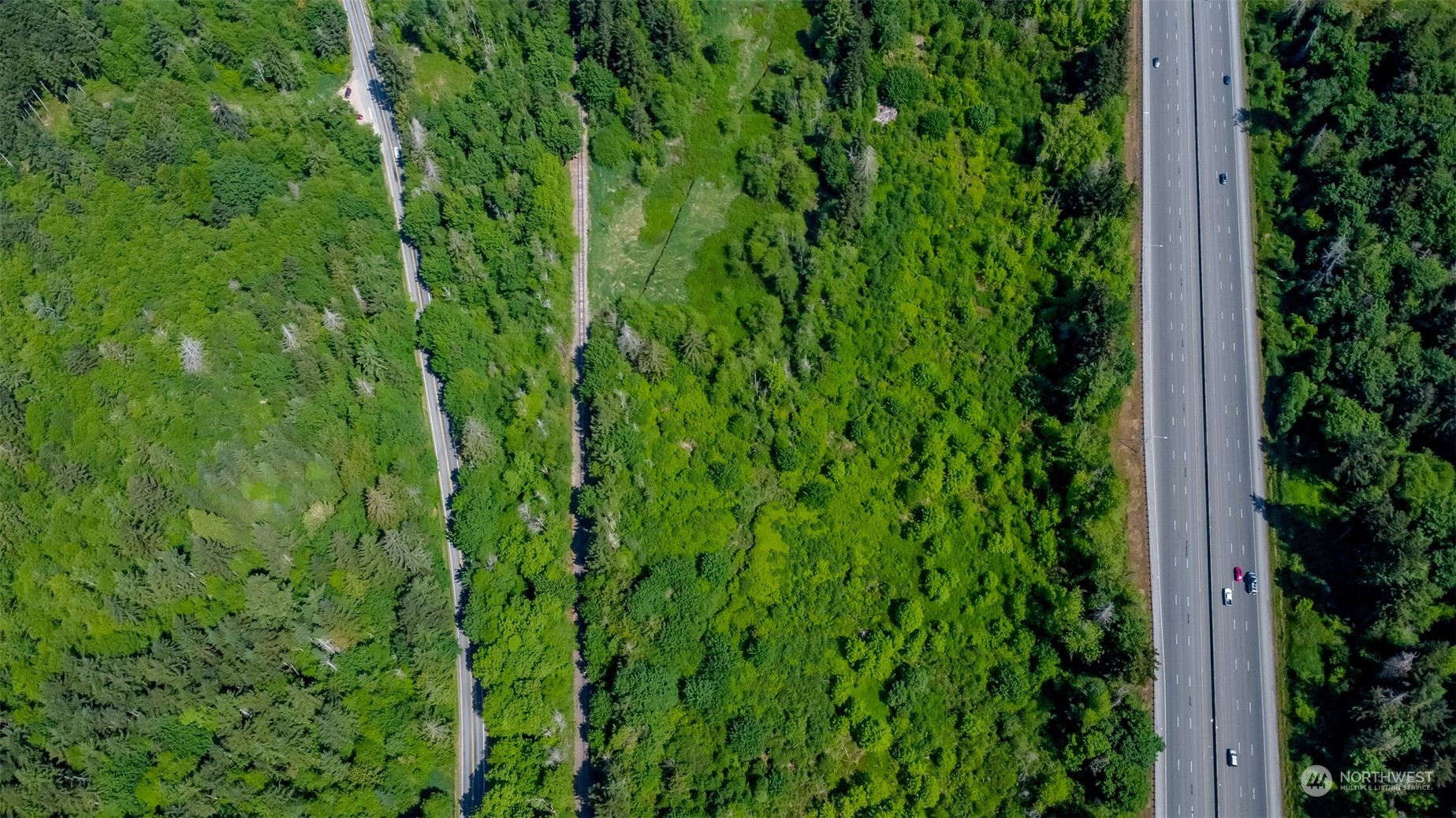 15345 Case Road Southwest Rochester, WA 98579 - Photo 40 of 40 a view of a lush green forest