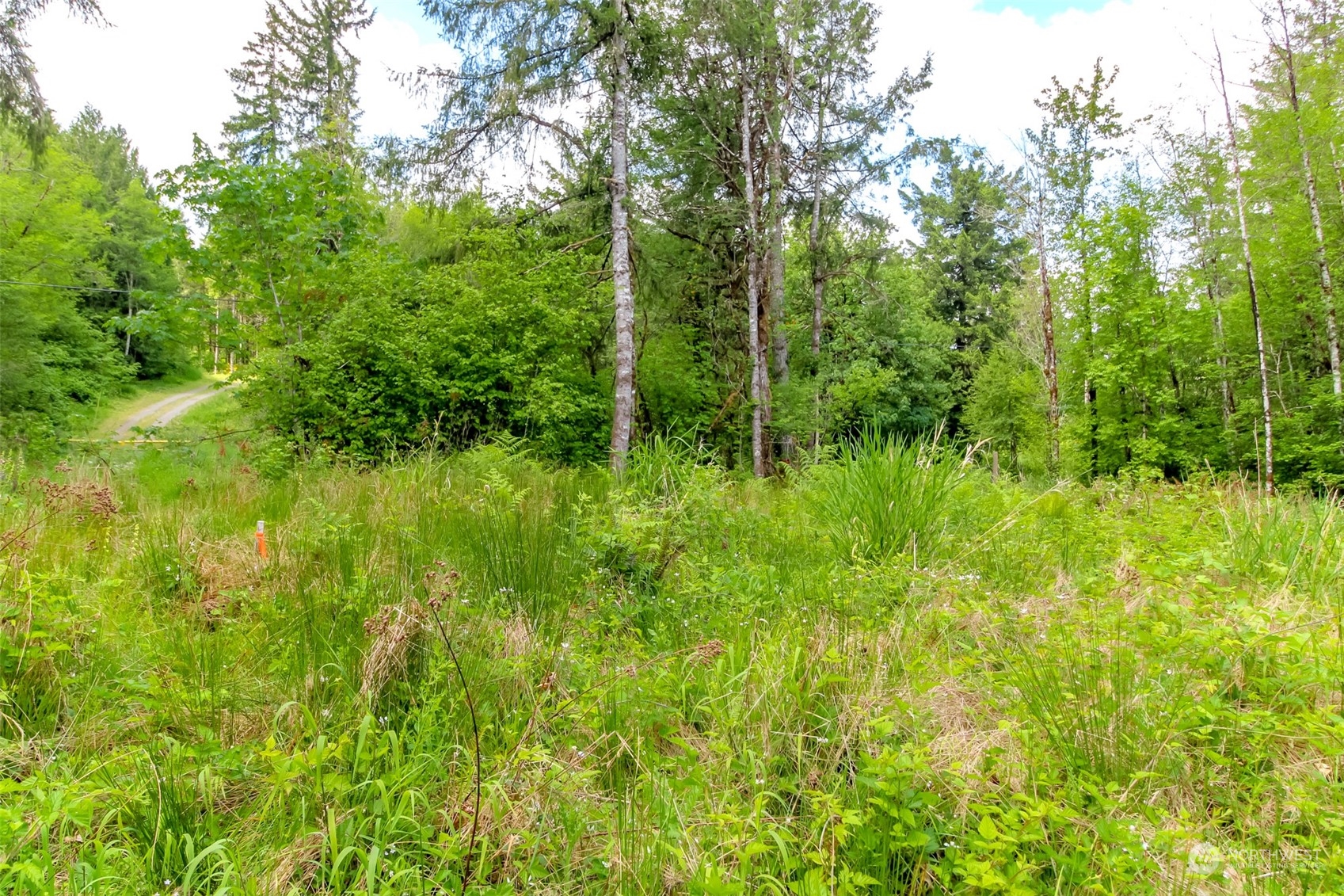15345 Case Road Southwest Rochester, WA 98579 - Photo 7 of 40 a view of a lush green space