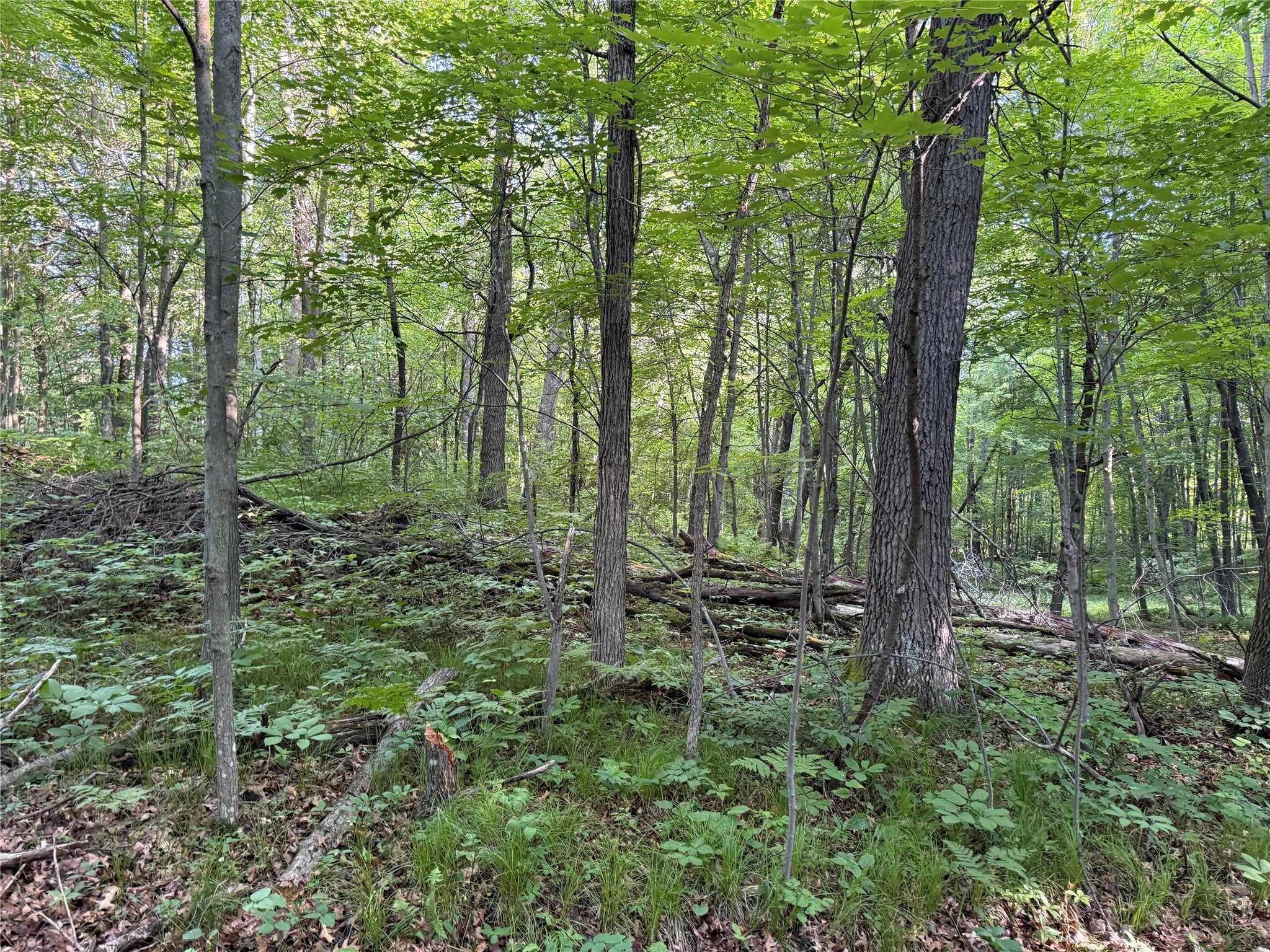 Xxx Sathre Lane Shell Lake, WI 54871 - Photo 28 of 36