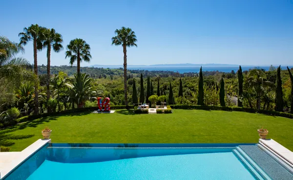 a view of a garden with palm trees