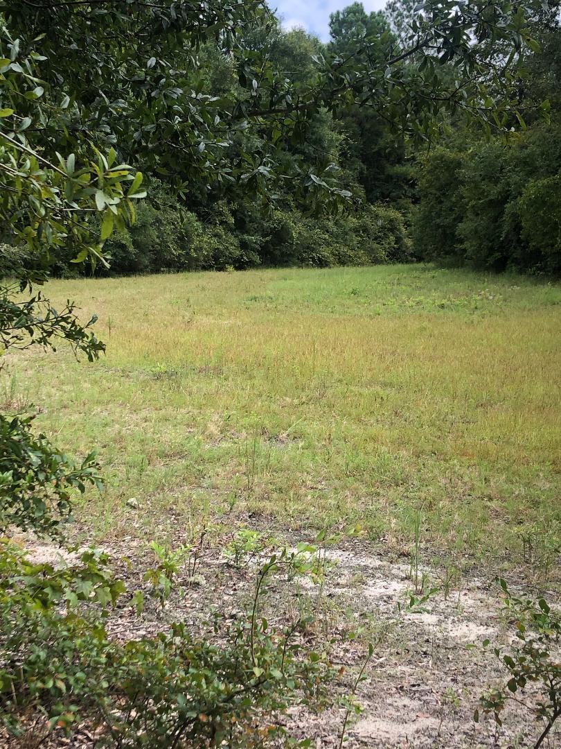 2047 Booth Road Florala, AL 36442 - Photo 4 of 5 a view of a field with an outdoor space