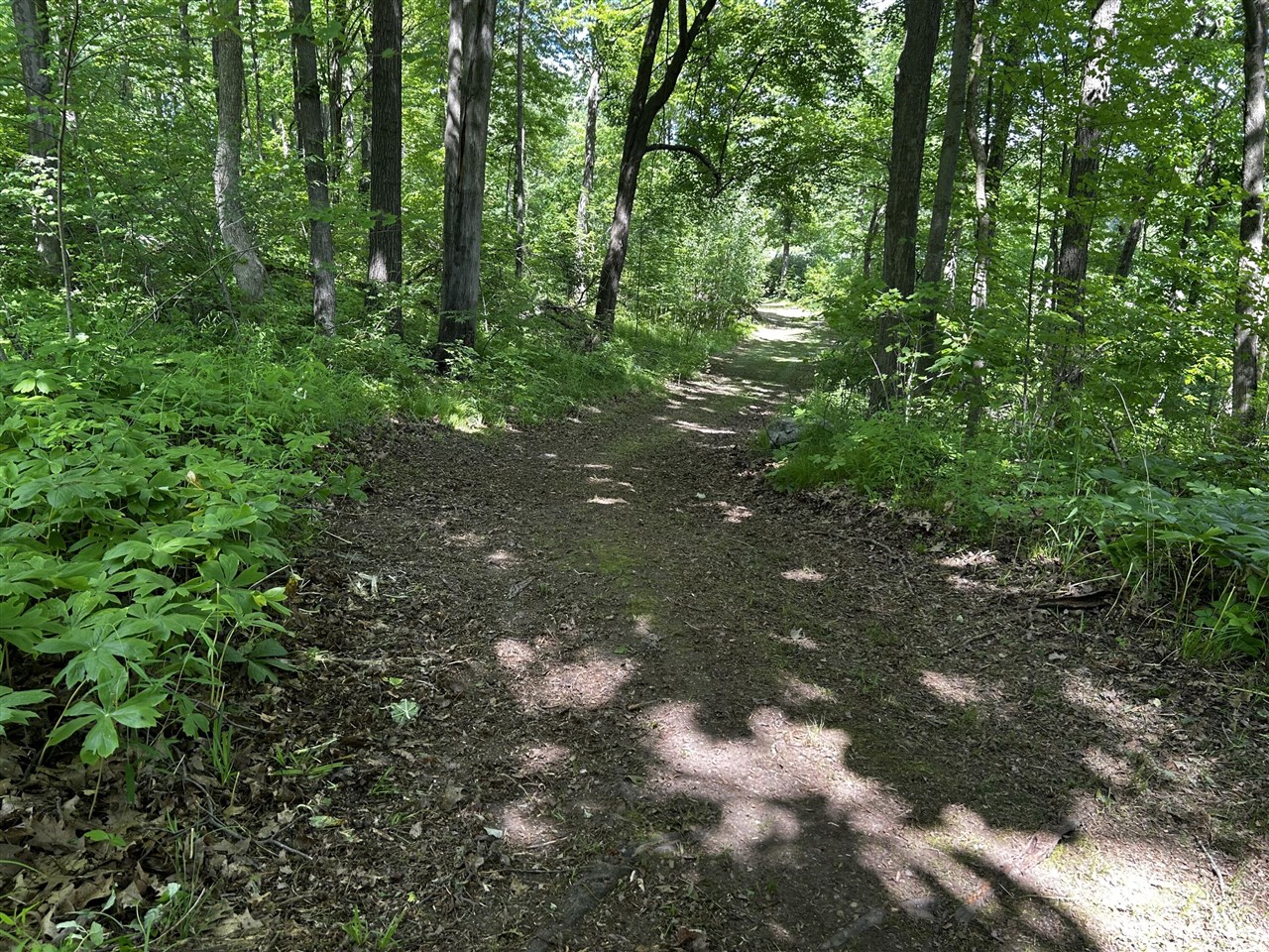 6670 Tower Lake Road Northeast Belding, MI 48809 - Photo 39 of 52