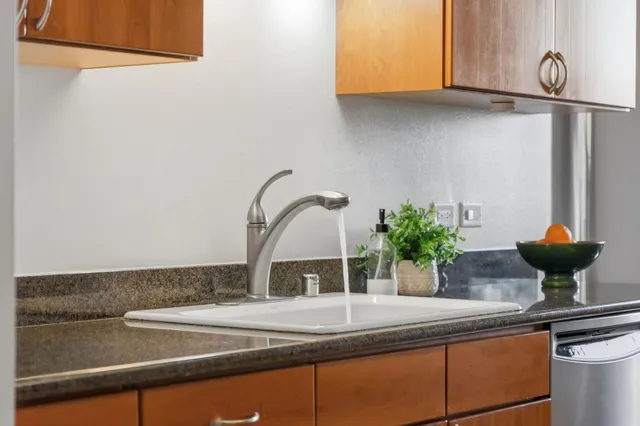 a kitchen with a sink and a potted plant
