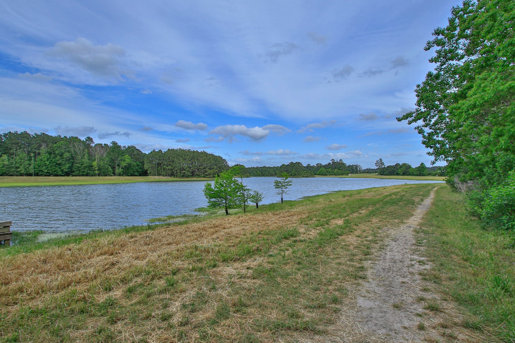 31026 Fairfield Maple Trail Spring, TX 77386 - Photo 48 of 50