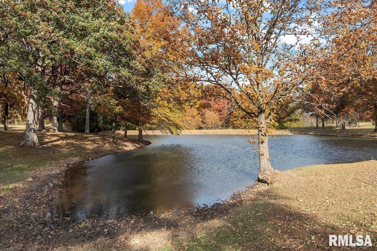 677 East 990 North Road Palmer, IL 62556 - Photo 25 of 46 Gallery Image 25