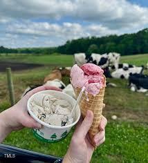 5125 Penny Road Raleigh, NC 27606 - Photo 47 of 48 Howling Cow ice cream