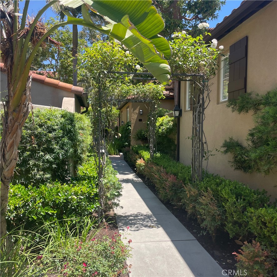 103 Windchime Irvine, CA 92603 - Photo 15 of 16 a view of a pathway with flower plants