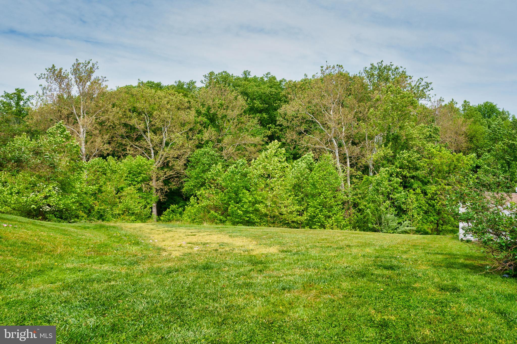 533 Callander Way Abingdon, MD 21009 - Photo 18 of 31 View from the Front Door