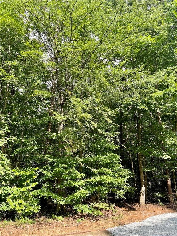6245 Lynn Road Salisbury, NC 28147 - Photo 40 of 45