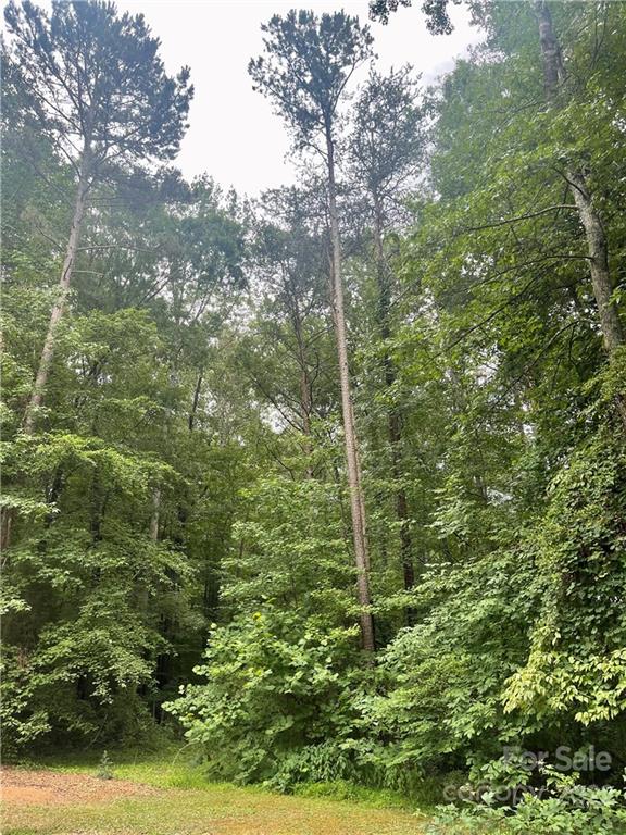 6245 Lynn Road Salisbury, NC 28147 - Photo 4 of 45