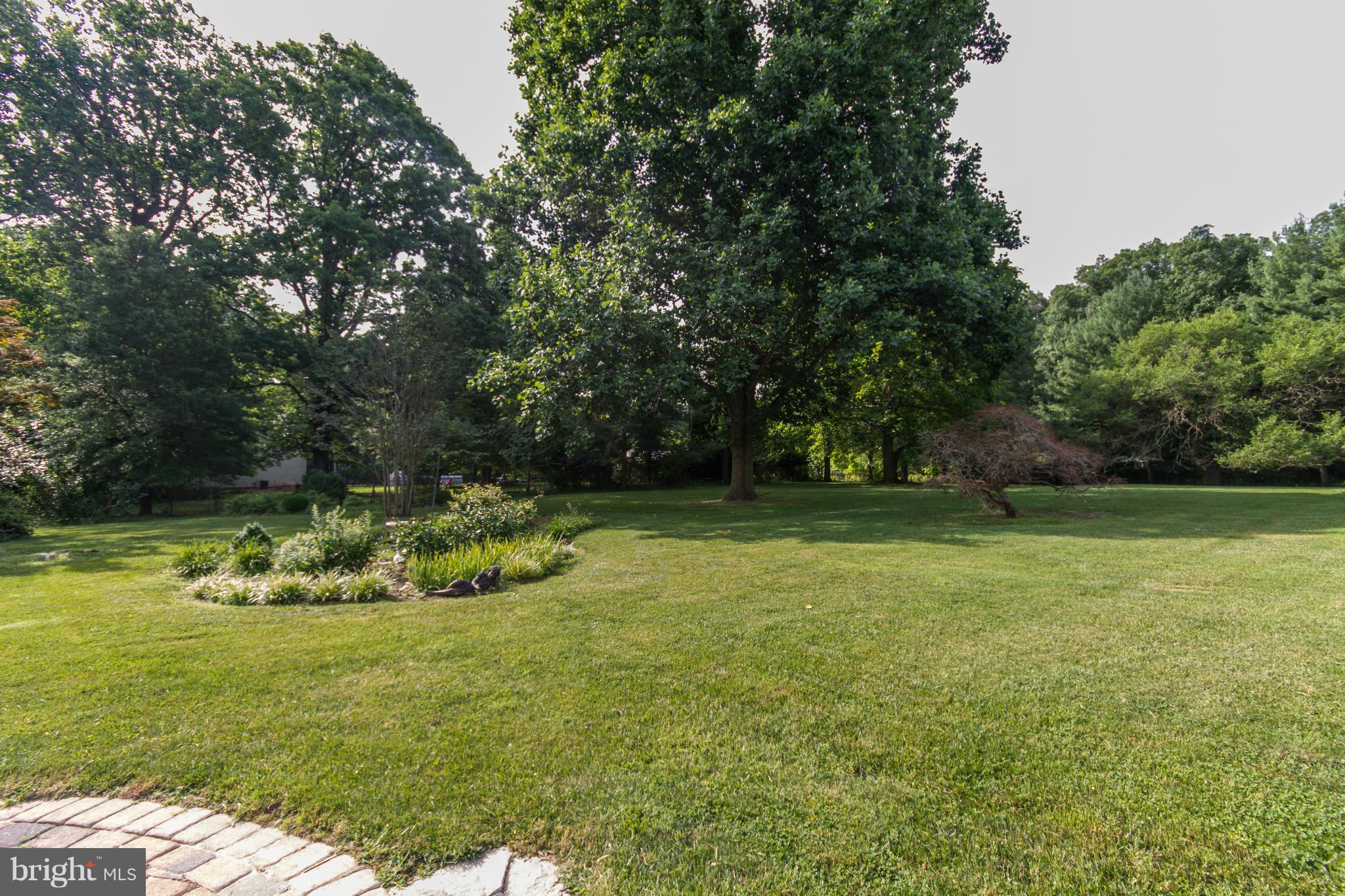 8007 Brooklyn Bridge Road Laurel, MD 20707 - Photo 20 of 25 Tree-Lined Backyard