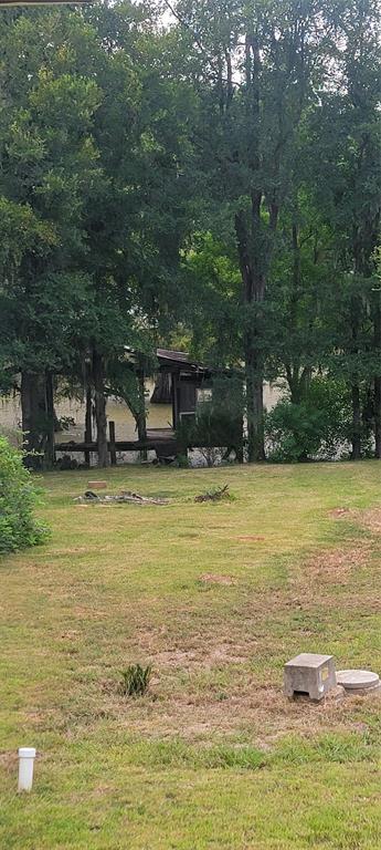 253 Mid Lake Marina Road Doyline, LA 71023 - Photo 2 of 2 a view of a swimming pool with lawn chairs and plants