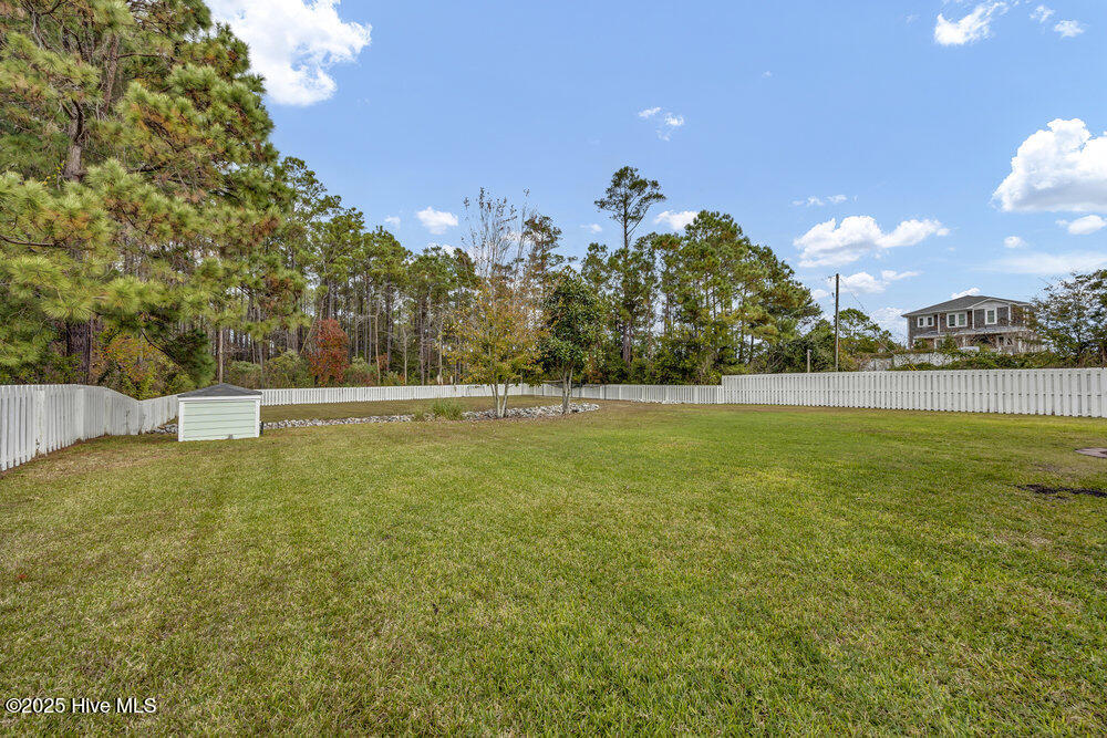 261 Loder Avenue Wilmington, NC 28409 - Photo 49 of 74 Back Yard
