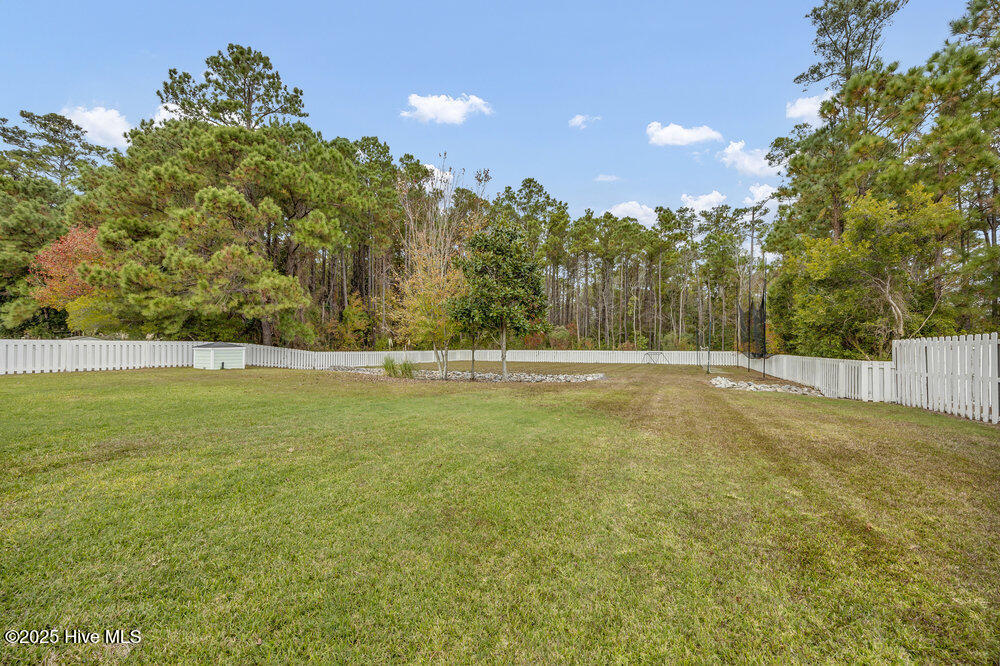 261 Loder Avenue Wilmington, NC 28409 - Photo 50 of 74 Back Yard